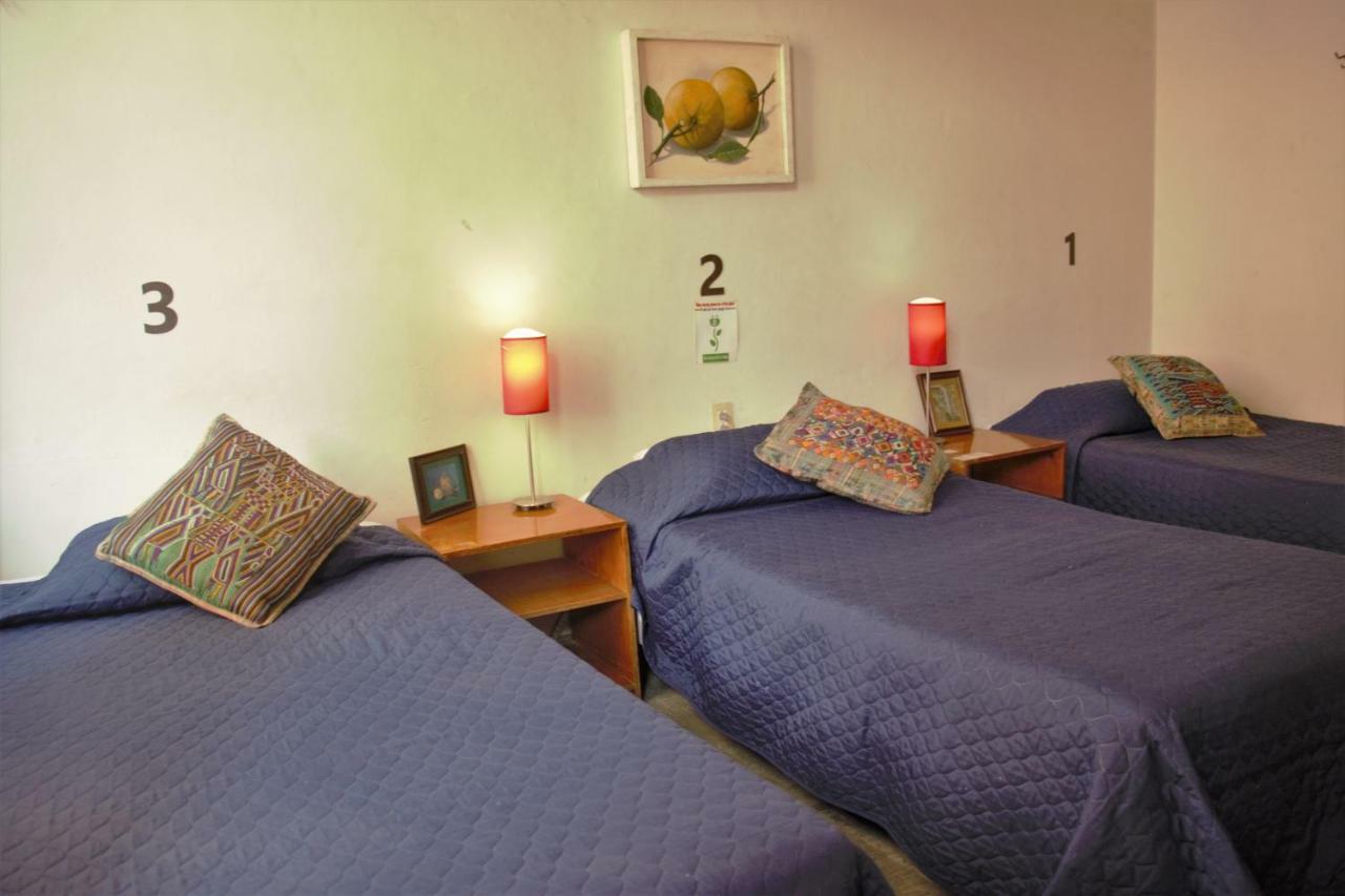 Hotel Lit กัวดาลาฮารา ภายนอก รูปภาพ